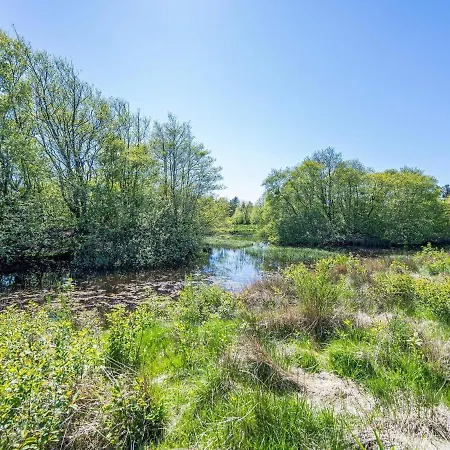 8 Person In Nørre Nebel