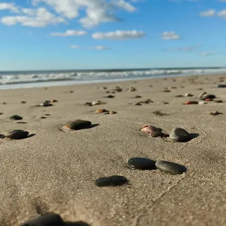 Hébergement de vacances 8 Person In *