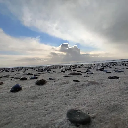 8 Person In Nørre Nebel